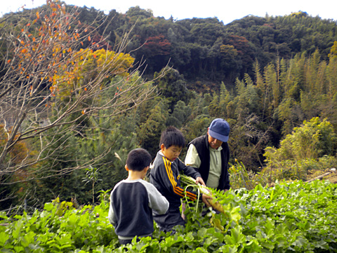 DSCN0175.jpg