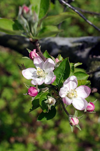 IMGP0860.jpg