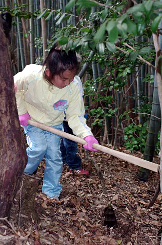 IMGP0861.jpg