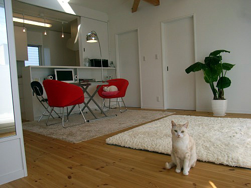 RIMG0345.jpg