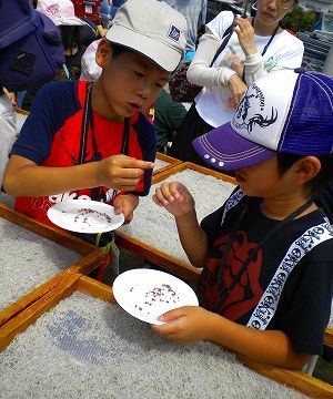s-チリモン藤沢2DSCN1338.jpg