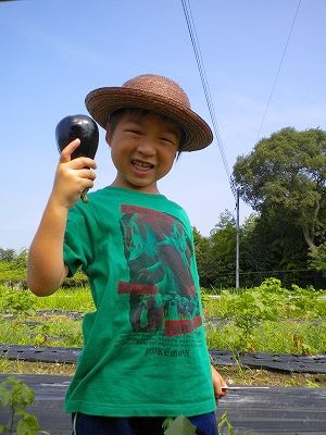s-ナスDSCN1389.jpg