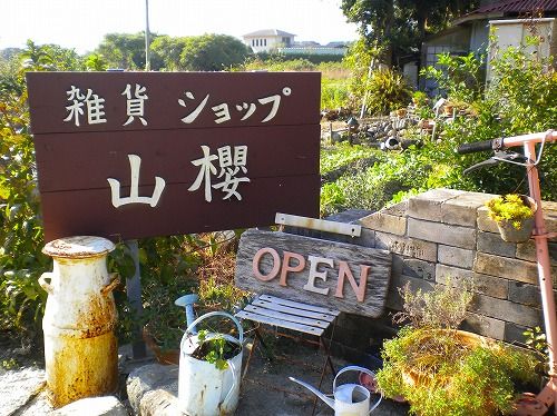 s-山桜11.jpg