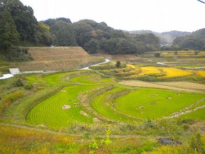 s-淡路市バス3.jpg