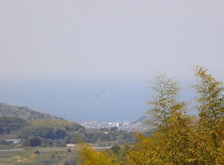 s-Q.jpg
