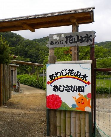 s-花山水14.jpg