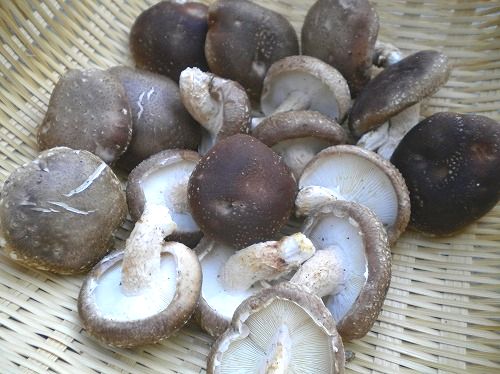 s-花山水7DSCN1912.jpg