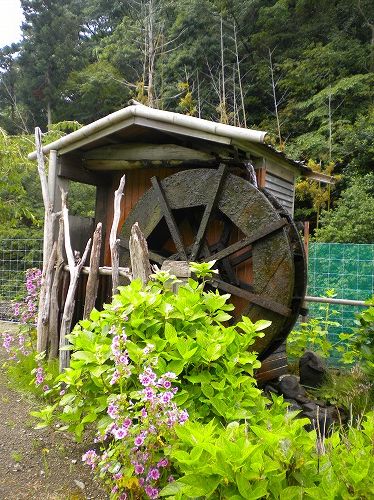 s-花山水9.jpg
